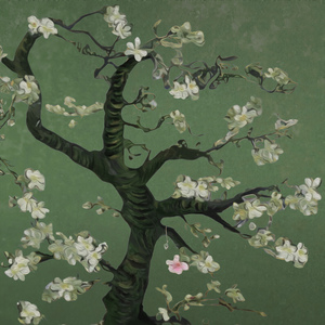 手机看片AV免费无码
