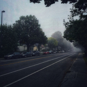 手机看片AV免费无码
